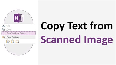 How To Copy Text From Image Onenote Tutorial Youtube