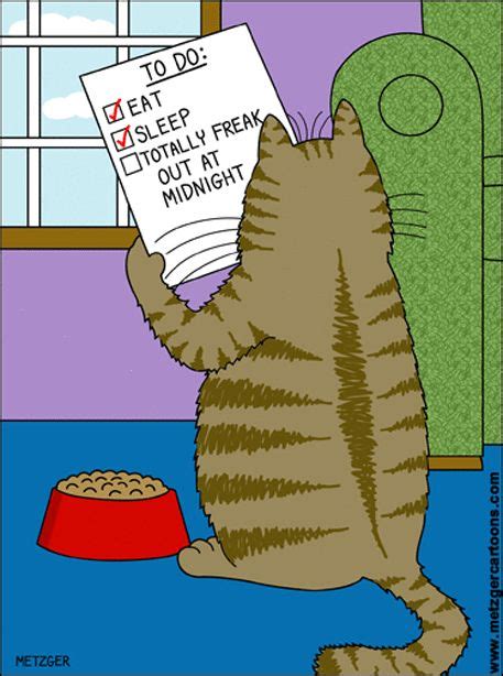 the bent pinky by scott metzger for feb 21 2018 funny cats crazy cats i love cats