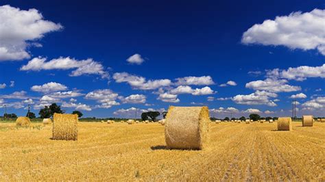 Hay Bales Wallpaper 1920x1080 83731