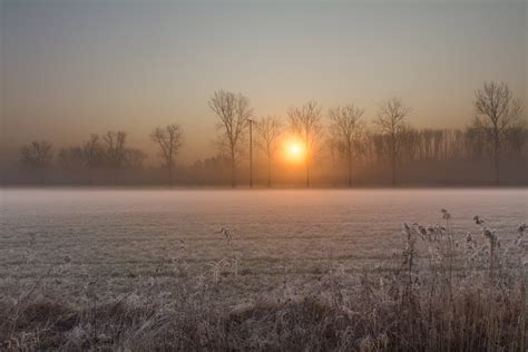 Morning Dawn Sun Sunrise Winter Frost The Field Tree Hd