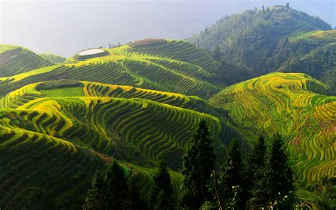 Longji Rice Terraces China Beautiful Countryside Wallpaper Nature