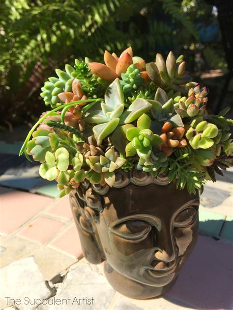 Buddha Head Succulent Planter