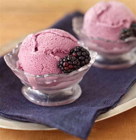 Blackberry Ice Cream Williams Sonoma Taste