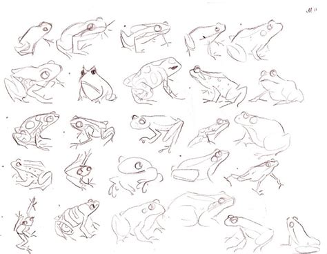 Pin By Amanda Armstrong On Doodles And Drawing Ideas Frog Sketch Frog