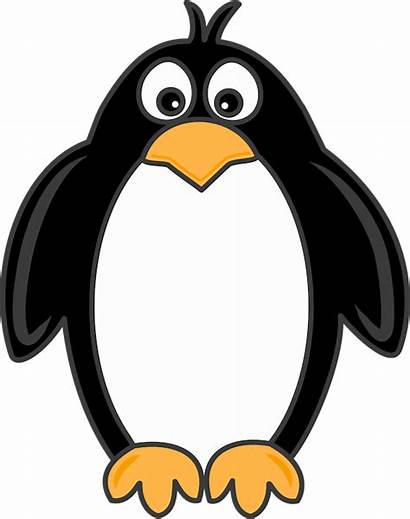 Penguin Transparent Clipart Clip Penguins Cartoon Birthday