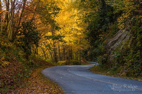 Fall Foliage 2018 Forecast And Guide Blue Ridge Mountain Life