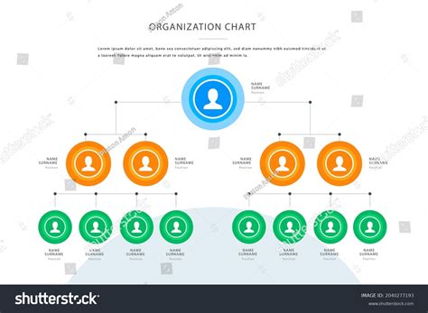 Organizational Chart Infographic Design Template Chart Stock Vector