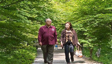 熟年夫婦旅行で温泉に行くなら伊豆長岡の楽山やすだがおすすめです。 旅行に行くなら！