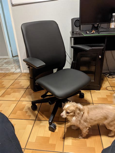 craigslist boston office chair - In The Big Personal Website Bildergalerie