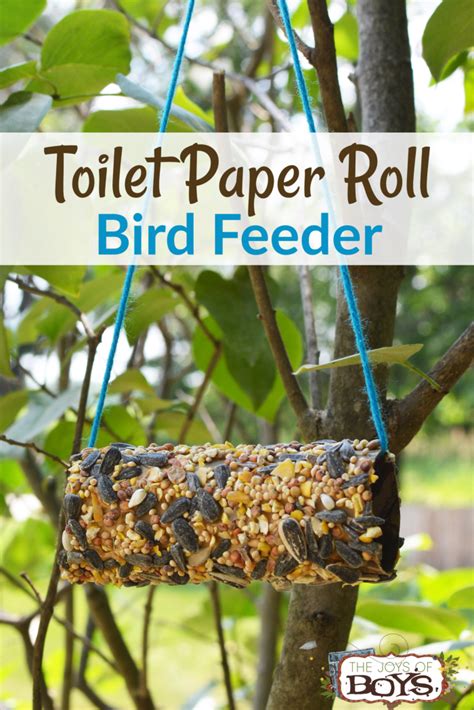 Toilet Paper Roll Bird Feeder Easy Camping Craft