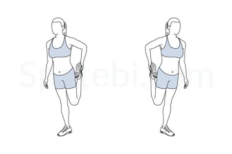 Quad Stretch Exercise Guide With Instructions Demonstration Calories