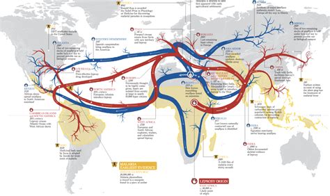 Flow Map Of The Origins And Pathways Of Deadly Diseases World History
