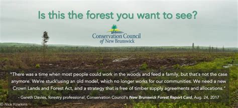 Report Calling For Ecological Forestry In Nova Scotia Offers Roadmap