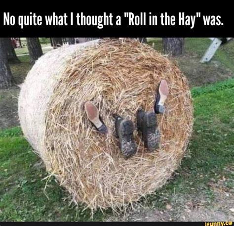 No Quite What I Thought A Roll In The Hay Was Ifunny