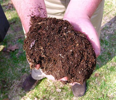 Build Smart Soils Using Mulch Composted Organic Matter And Reducing