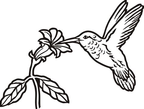 Check spelling or type a new query. Hummingbird Line Art | Free download on ClipArtMag