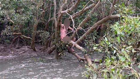 Two Blokes Rescued A Naked Alleged Fugitive From A Croc Infested Swamp