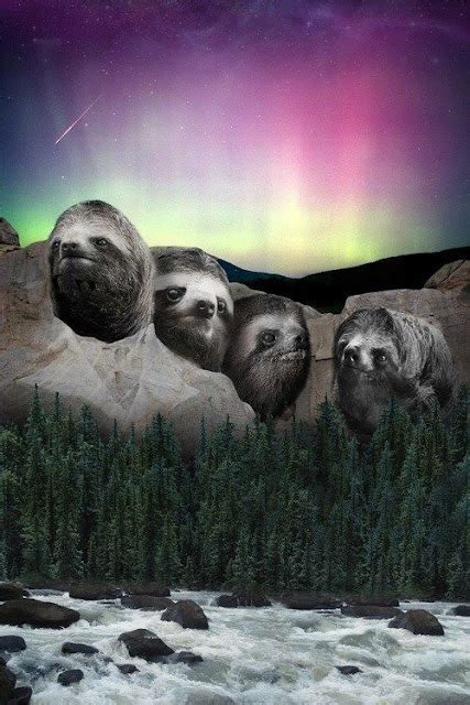 Panda Vs Sloth Epic Sloths Take A Stand In History