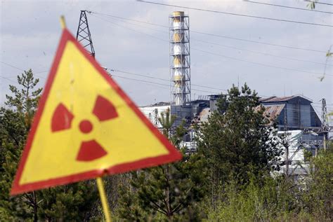 Chernobyl Wildlife Thrives Decades After Nuclear Plant Disaster With Humans Out Of The Picture