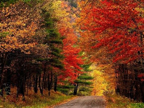 5 Scenic Drives In The Catskills To Take During Fall Season
