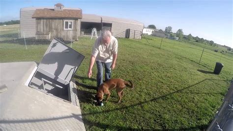 Tornado Shelter Dog Training Youtube