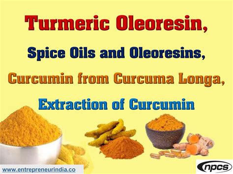 Turmeric Oleoresin Spice Oils And Oleoresins Curcumin From Curcuma