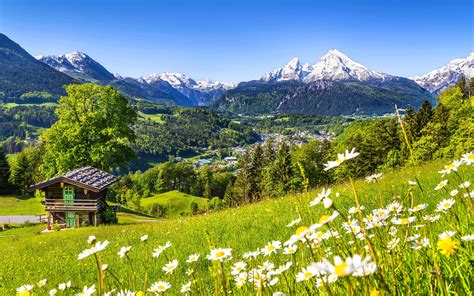 Download Wallpapers 4k Alps Meadows Mountains Summer