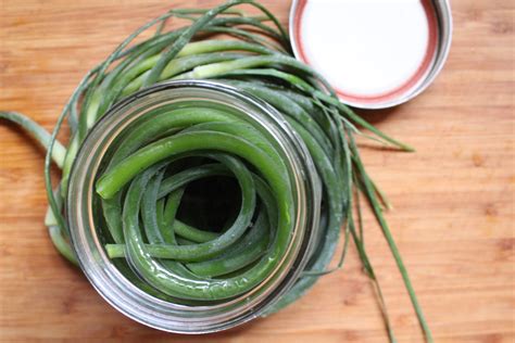 Pickled Garlic Scapes Recipe For Canning