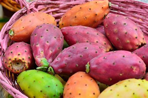 The purported benefits of fresh nopal juice include lowering blood sugar, healing wounds, and reducing cholesterol. The Best Herbs and Supplements for Diabetes | Reader's Digest