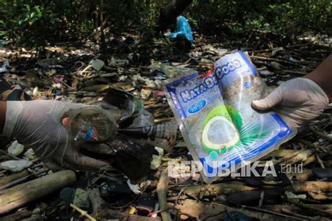 Miris 200 Kilogram Sampah Plastik Diangkut Dari Mangrove Wonorejo