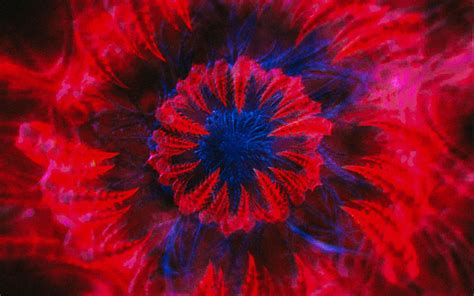 Or scroll down through netflix's best original movies for something you might have missed. Trippy Movies To Watch When High On Netflix - Allawn