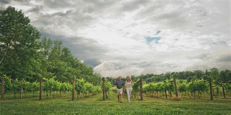 Vineyards And Wineries In Mystic And Eastern Ct