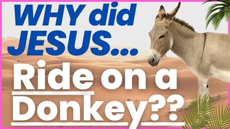 Why Did Jesus Ride On A Donkey Youtube