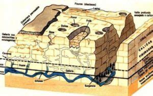 Suelo Karstico Conoce sus características y formación