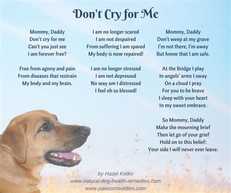 Pet Loss Poems Celebrating The Love And Lives Of Our Dogs Pet Loss