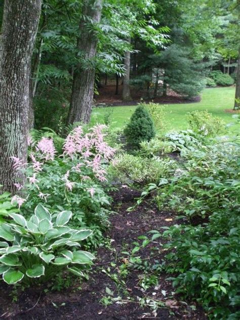Top 10 Woodland Garden Ideas To Enhance Your Backyard Woodland