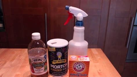 Are you searching for a homemade cat repellent solution? Safe and Easy Homemade Flea Control Solutions - 101 Ways ...