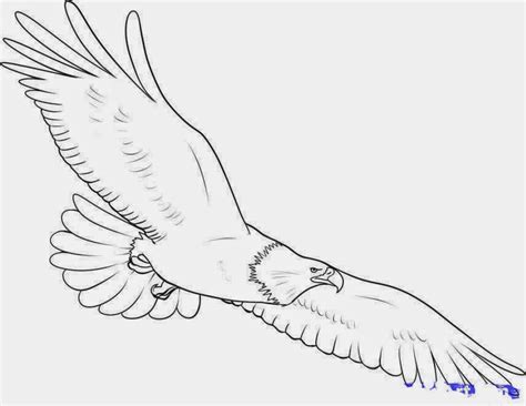 Dibujos para Colorear: Dibujos de aguilas