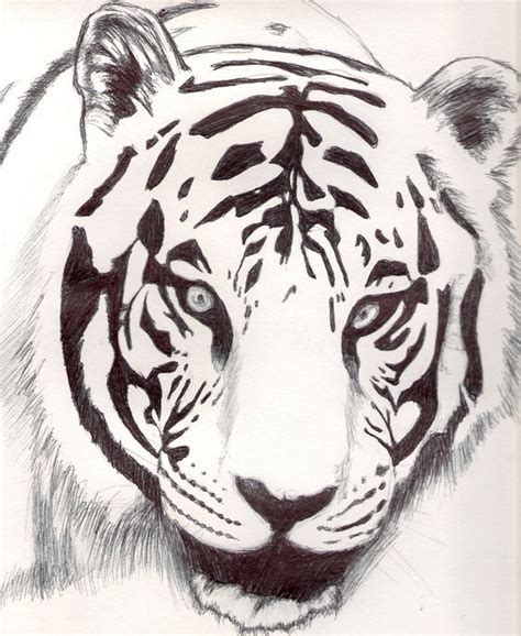 Lista 100 Foto Imagenes De Tigres Animados Para Dibujar Alta