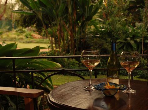 Submitted 8 days ago * by rogerscrabbit. Looking out from Mali verandah | White wine, Rose wine, Glass