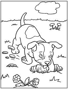 Rainbow Coloring Pages With Color Words | Free coloring pages for kids