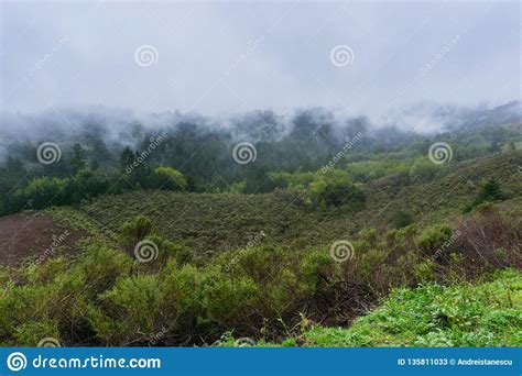 Fog Rolling Over Hills And Valleys California Stock Image Image Of