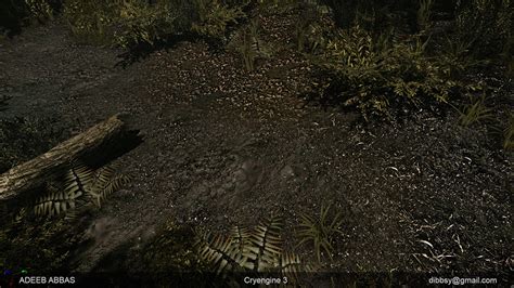 Forest Environment Cryengine 3 — Polycount