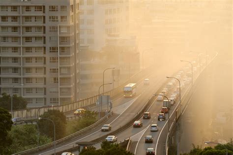 Urban Air Pollution Sources And Pollutants Airqoon Medium