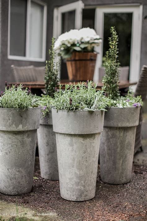 I have wanted to have tall planters at my front door for some time now. The Best Tip for Filling Large Outdoor Planters | Large ...
