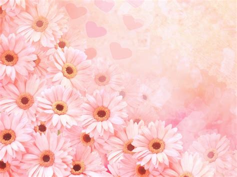 Pink backgrounds are mostly used by girls. Cute pink flower template Free PPT Backgrounds for your ...