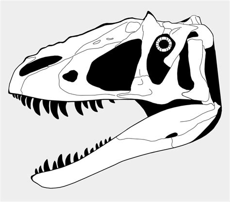 We did not find results for: Dinosaur Skeleton Coloring Pages - Dinosaur Skull Coloring ...