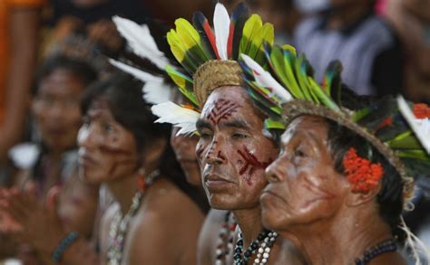 conservação mantém viva cultura dos povos indígenas amazônia importa estúdio folha