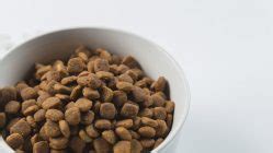 The number of brands affected now includes all midwestern pet foods dry dog and cat foods containing corn, manufactured in the. Natural Balance Dog Food Reviews, Coupons and Recalls 2021