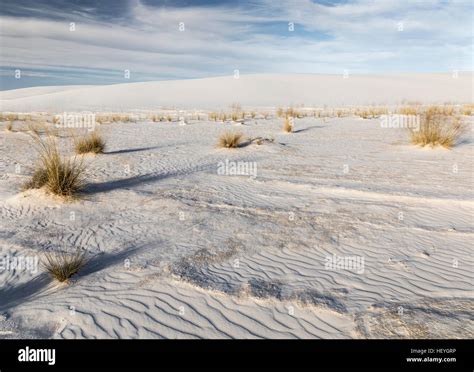 White Gypsum Sand Dunes At White Sands National Monument Near